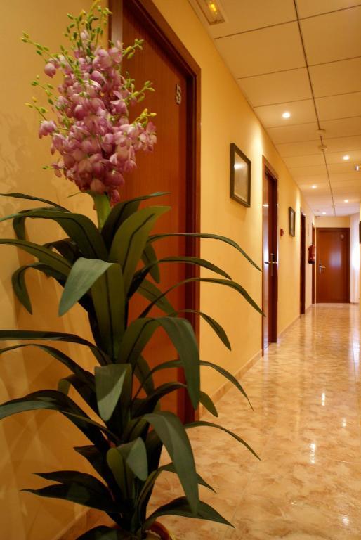 Hotel Mont-Roig מראה חיצוני תמונה